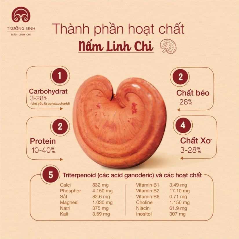 HỘP QUÀ HẠNH PHÚC